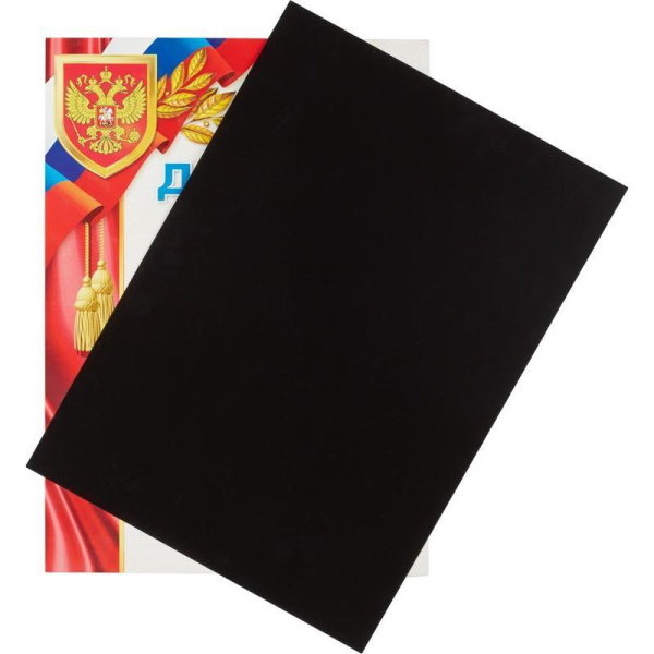 Обложки для переплета пластиковые ProMega Office черные, непрозр., А4, 280м