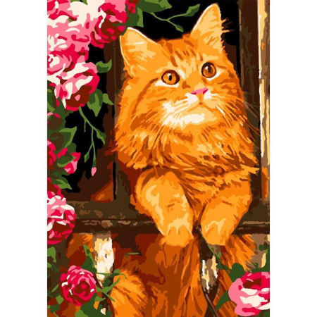 Картина по номерам Lori Рыжий котик