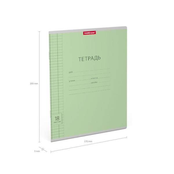 Тетрадь школьная зеленая ErichKrause Классика Visio А5+ 18 листов в  клетку (10 штук в упаковке)