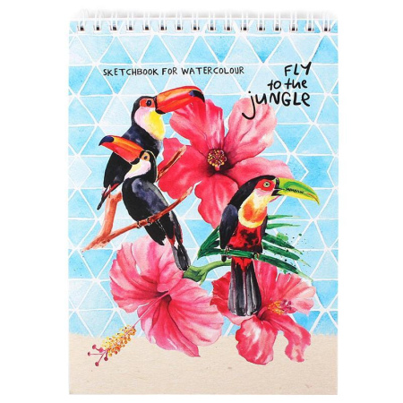Скетчбук Проф-пресс Туканы в цветах А5 20 листов
