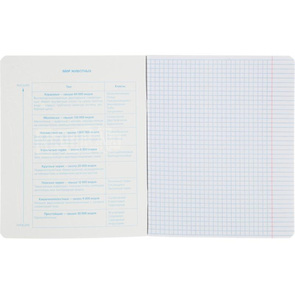 Тетрадь предметная по биологии №1 School Панк А5 48 листов разноцветная  в клетку УФ-сплошной глянцевый лак