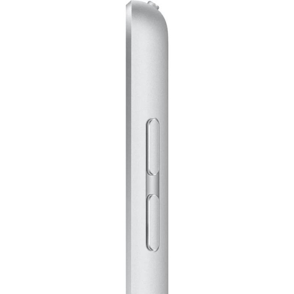 Планшет Apple iPad 10.2 Wi-Fi 256 ГБ серебристый (MK2P3LL/A)