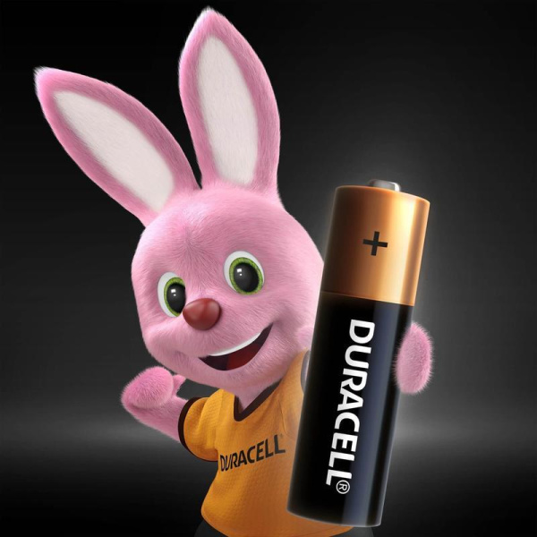 Батарейки Duracell Basic пальчиковые АА LR6 (12 штук в упаковке)