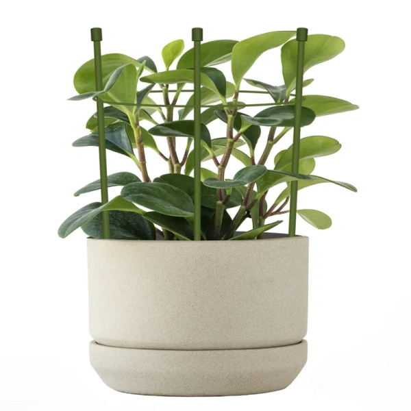 Опора для растений Garden Show Круглая 25.5x18x1 см металл