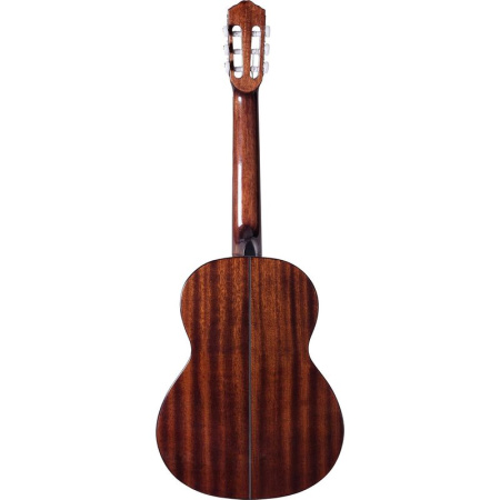Гитара акустическая Rockdale Classic C2 коричневая