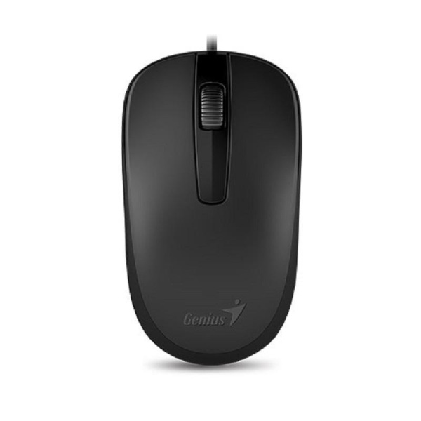 Мышь компьютерная Genius DX-120 черная (31010010400)