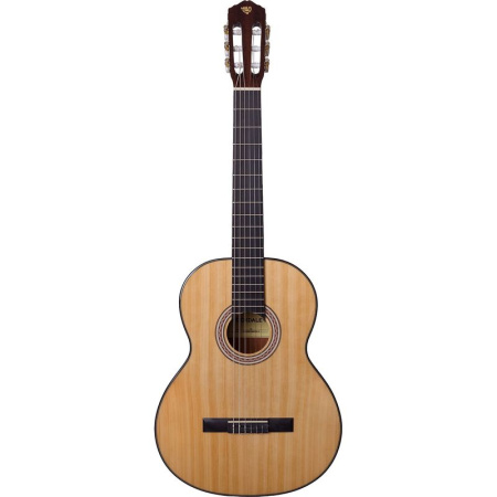 Гитара акустическая Rockdale Classic C2 коричневая