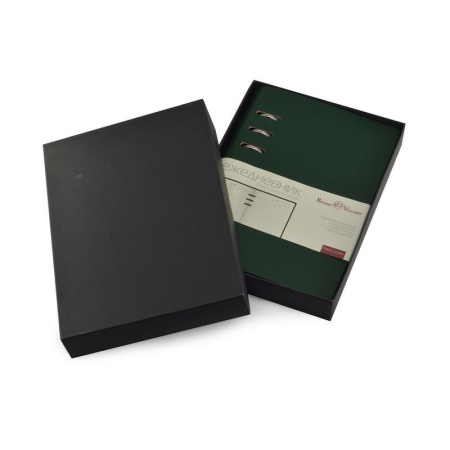 Ежедневник недатированный Bruno Visconti Firenze искусственная кожа А5- 120 листов зеленый (132x190 мм) (артикул производителя 3-511/05)