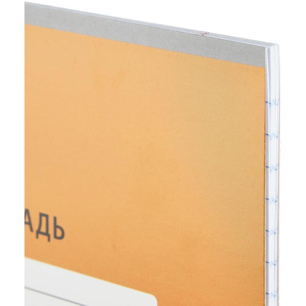 Тетрадь школьная оранжевая №1 School Интенсив А5 24 листа в линейку (10  штук в упаковке)