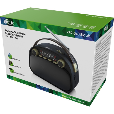 Радиоприемник Ritmix RPR-040 черный (80004179)