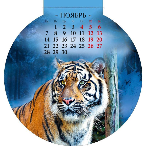 Календарь моноблочный отрывной настенный на магните 2022 год Символ года  (140х148 мм)