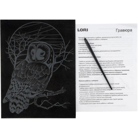 Гравюра Lori Животные Сова с разноцветным эффектом 18х24см