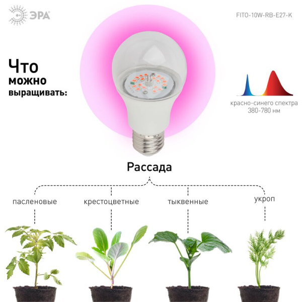 Фитолампа Эра FITO-10W-RB-E27-K красно-синего спектра 10 Вт E27