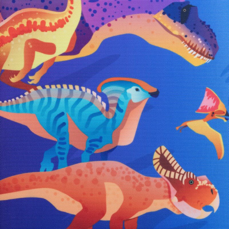 Ранец Комус Класс Basic Динозавры анатомический черный с двумя  отделениями