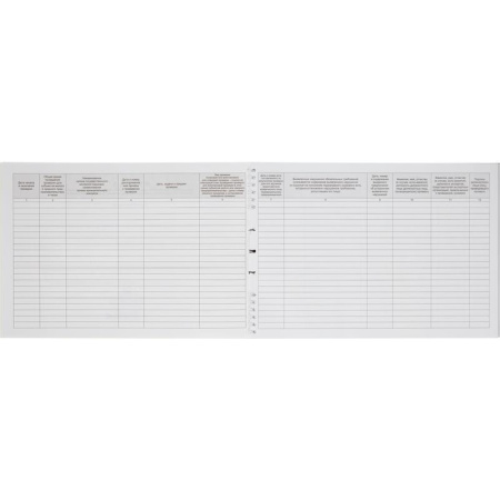 Журнал учета проверок юридических лиц и ИП (А4, 50 листов, 20 штук)
