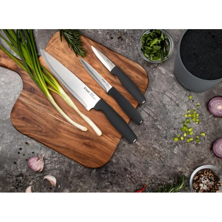 Набор ножей кухонных TalleR 4 предмета (98248)