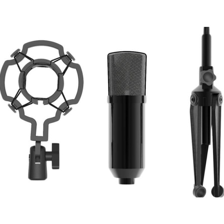 Микрофон Ritmix RDM-160 (80000132) Микрофон Ritmix RDM-160 (80000132)