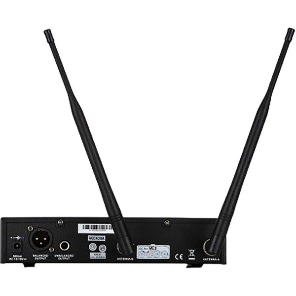 Радиосистема Pasgao PAW-900/PAH-801