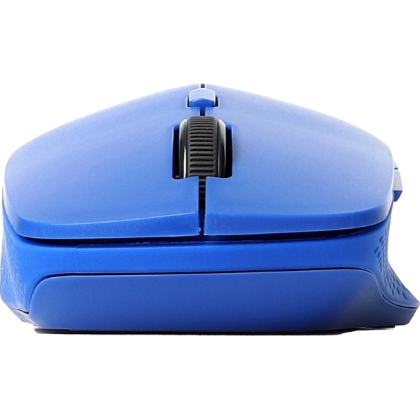 Мышь беспроводная Rapoo M300 синяя (M300-BLU)
