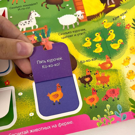 Развивающая книга Играй и Учись Счет