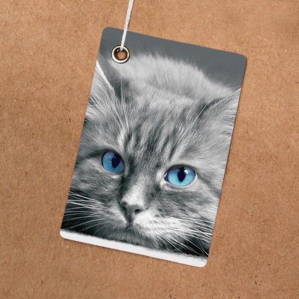 Пакет подарочный ламинированный Кошки яркий взгляд (26х32.5х13 см)
