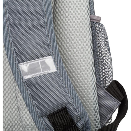 Ранец №1 School Light Team анатомический серый с двумя отделениями