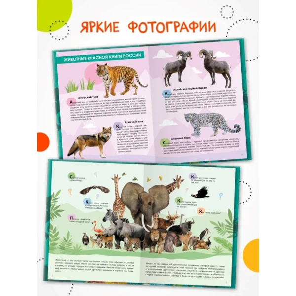 Энциклопедия Мозаика-синтез Животные (дошкольная возрастная категория)