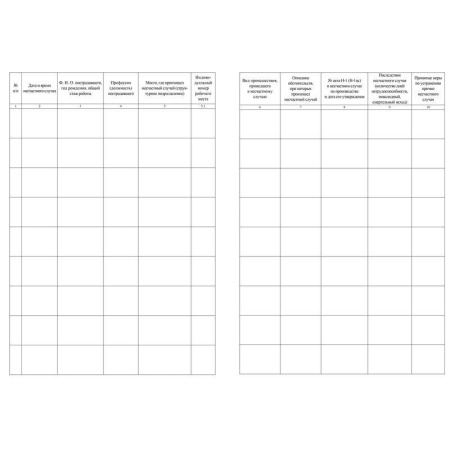 Журнал регистрации несчастных случаев на производстве 12 листов