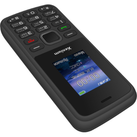 Мобильный телефон Xenium X175 чёрный (CTX175BK/00)