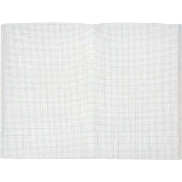 Тетрадь общая А4 96 листов в клетку на скрепке (обложка синяя)