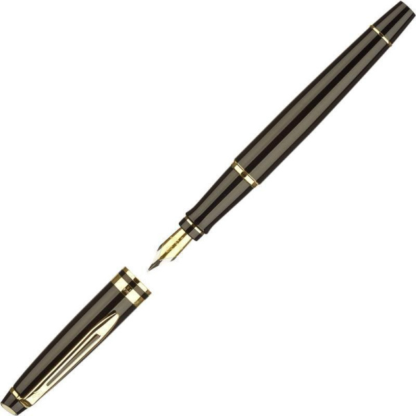 Ручка перьевая Waterman Expert S0951640 синяя черный с позолотой корпус