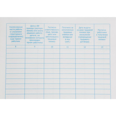 Книга учета движения трудовых книжек и вкладышей в них (94 листа,  сшивка, обложка бумвинил)