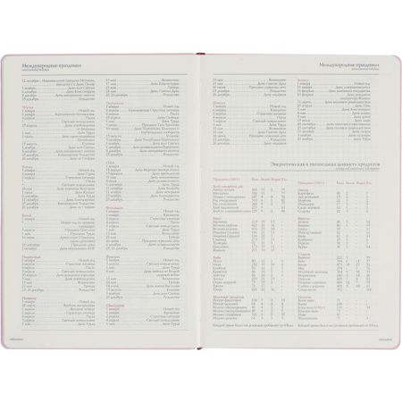 Ежедневник недатированный Bruno Visconti Madrid искусственная кожа А5  136 листов розовый (145х212 мм)