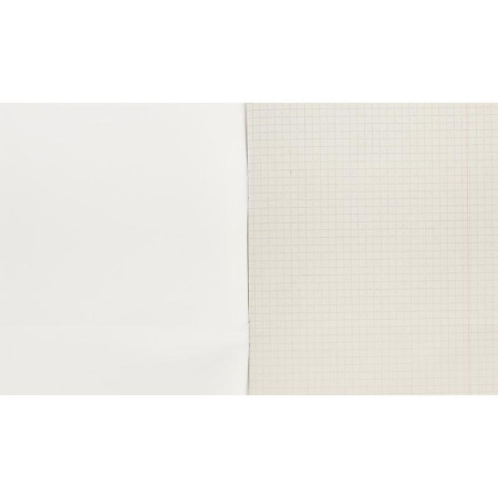 Тетрадь общая А5 48 листов в клетку на скрепке (обложка синяя)