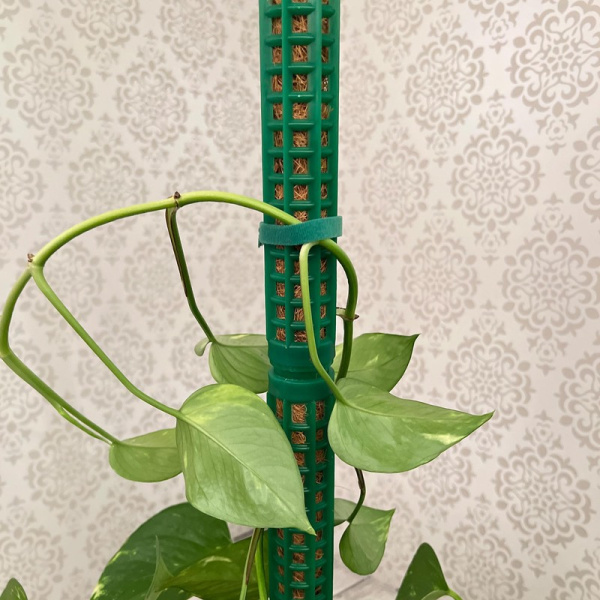Опора для растений Garden Show 38x3.5x3.5 см нейлон/полипропилен