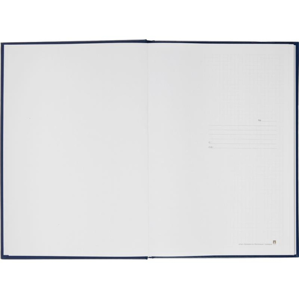 Книга учета бухгалтерская Альт офсет А4 80 листов в клетку на сшивке (обложка - бумвинил)