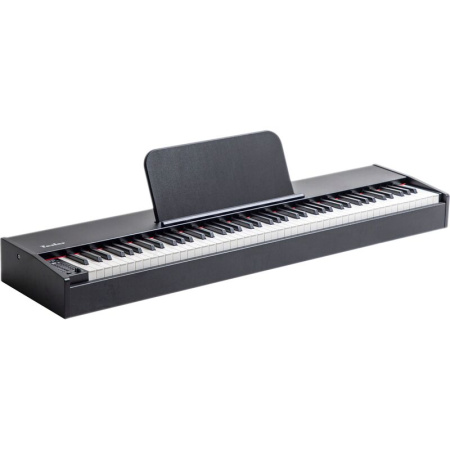 Пианино цифровое Tesler STZ-8805 Black (202807)