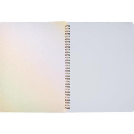 Бизнес-тетрадь Attache Selection Rainbow A4 80 листов разноцветная в  клетку на спирали (218х294 мм)