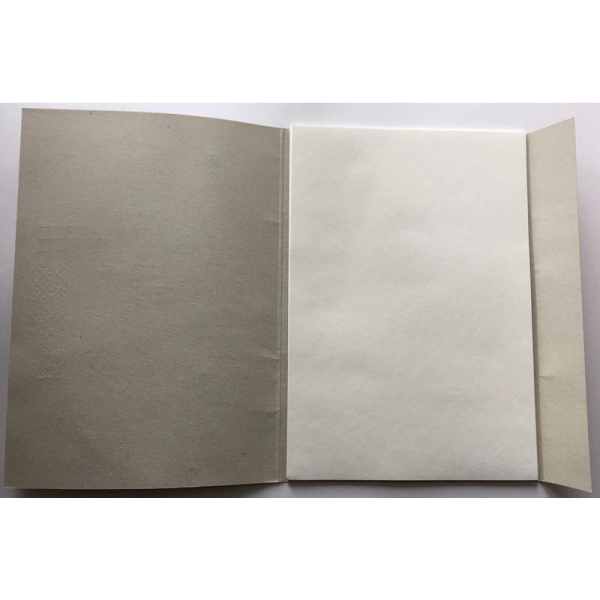 Папка для рисования акварелью Kroyter (А3, 10 листов)