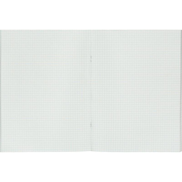 Книга учета бухгалтерская Элементари офсет А4 48 листов в клетку на скрепках (обложка - картон)