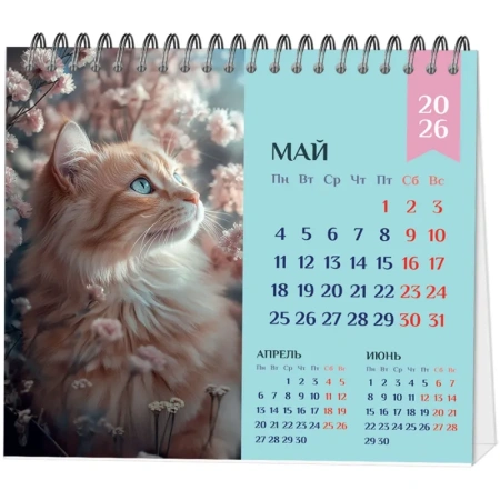Календарь-домик настольный 2026 Котёнок 12x11 см