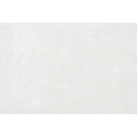 Салфетки влажные Альтсепт Лайт дезинфицирующие (120 салфеток в упаковке)