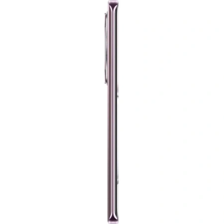 Смартфон Honor X9c 256 Гб фиолетовый (5109BMFN)