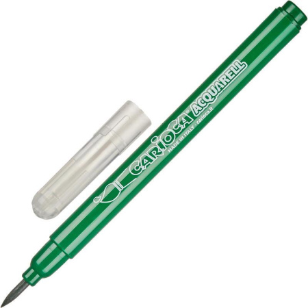 Фломастеры Carioca Acquarell 12 цветов