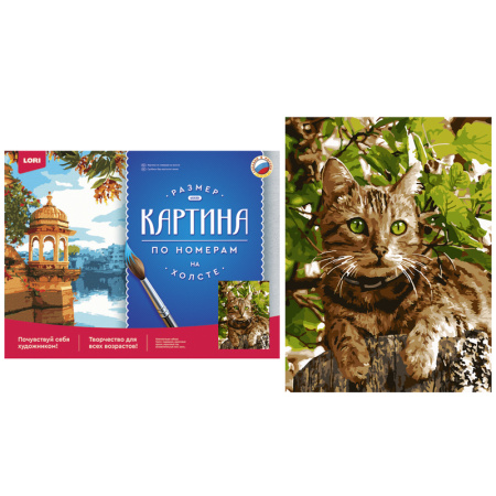 Картина по номерам Зеленоглазый котик