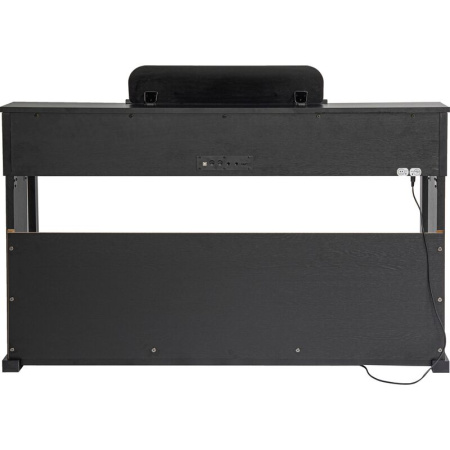 Пианино цифровое Tesler STZ-8810 Black (202777)