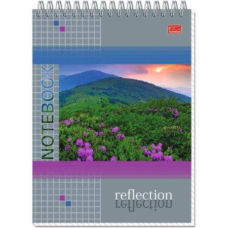 Блокнот Полином Природа А5 80 листов в ассортименте в клетку на спирали (145х203 мм) Блокнот Полином Природа А5 80 листов в ассортименте в клетку на спирали (145х203 мм)