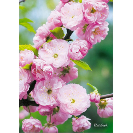 Блокнот Listoff Весенний сад А4 100 листов разноцветный в клетку на сшивке (210x288 мм)