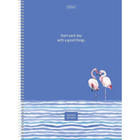 Бизнес-тетрадь Hatber Фламинго А4 160 листов разноцветная в клетку на  спирали (228х295 мм) Бизнес-тетрадь Hatber Фламинго А4 160 листов разноцветная в клетку на  спирали (228х295 мм)
