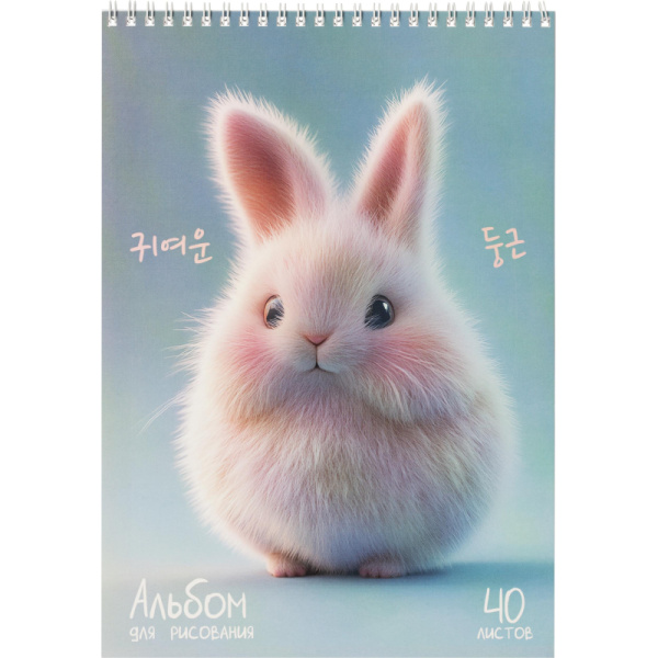 Альбом для рисования Комус Класс Пухляши А4 40 листов (2 штуки в  упаковке)